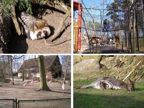 Tierpark Ueckermünde